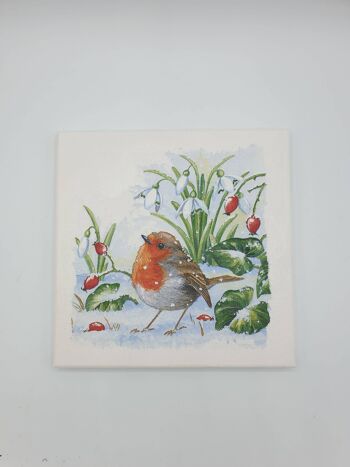 Robin Decoupage Canvas, Robin Lover Gifts, Wall Art Gif-45 1