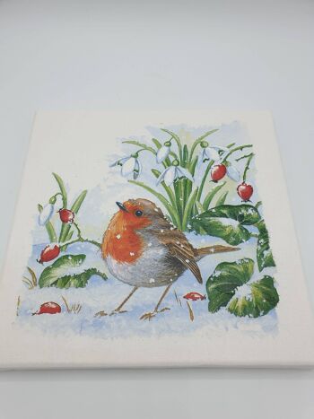 Robin Decoupage Canvas, Robin Lover Gifts, Wall Art Gif-45 2