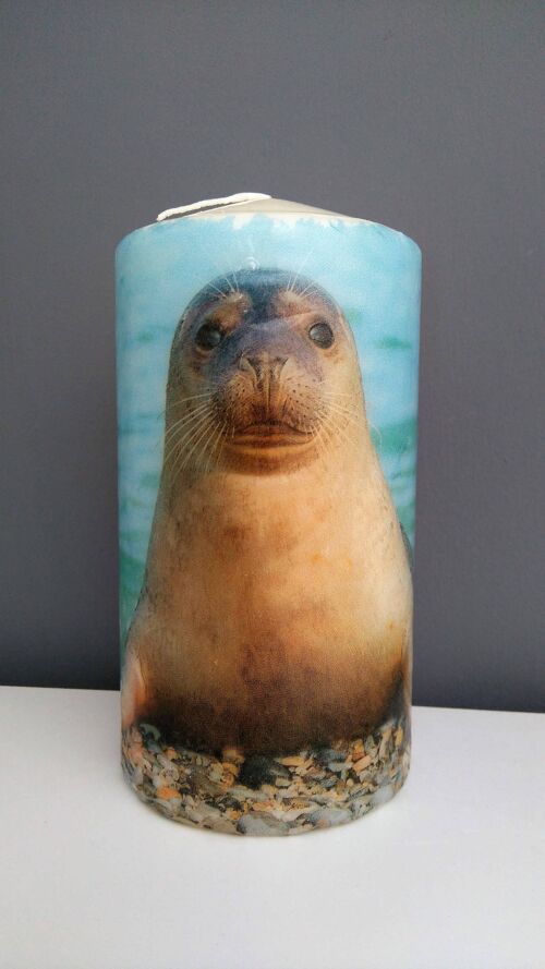 Seal Decorative Candle