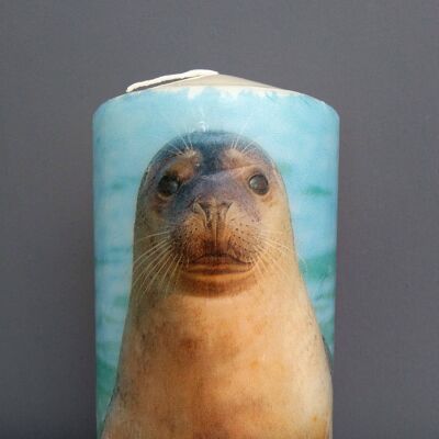 Seal Decorative Candle