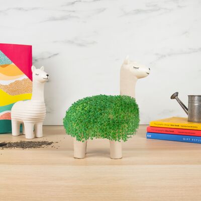 Green Llama Set with Chia Seeds