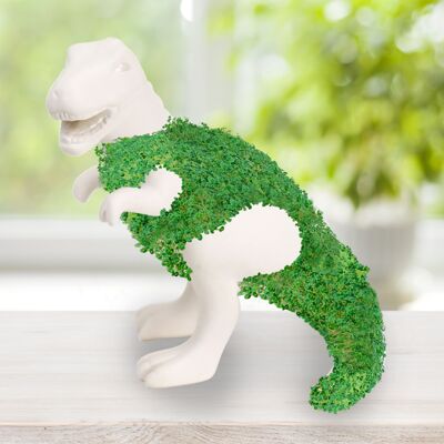 Ensemble Chia-Saurus aux graines de chia