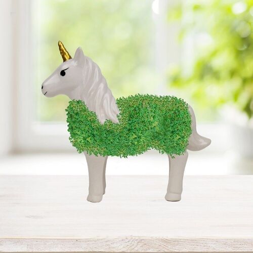 Chia Einhorn Set mit Chia Samen