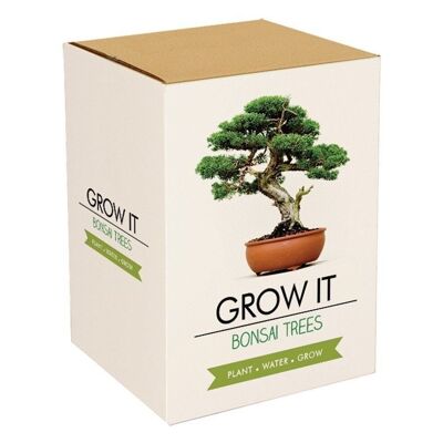 Haz crecer árboles bonsái | conjunto de plantas