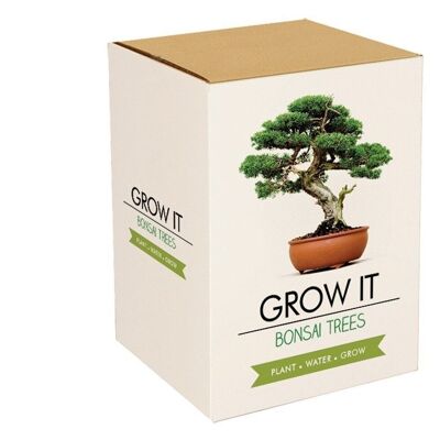 Grow it Bonsai Bäume | Pflanzset