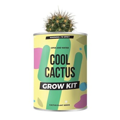 Plantes de cactus en conserve
