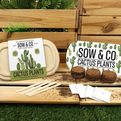 Sow & Co - Cactus Set avec graines