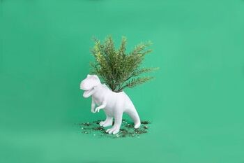 Pot de fleurs T-Rex pour cactus et succulentes 1