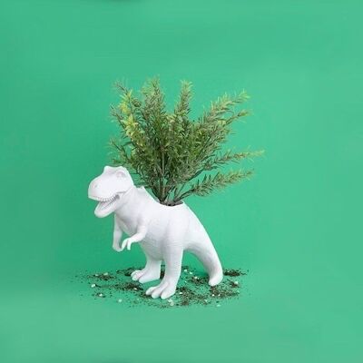 T-Rex flower pot for cacti and succulents