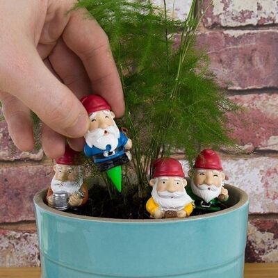 Mini garden gnomes in a set