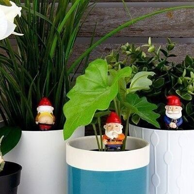 Mini gnomos de jardín descarados