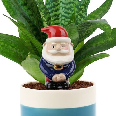 Plant waterer garden gnome