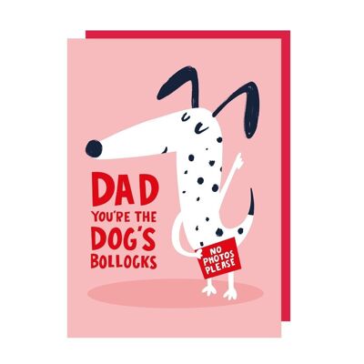 Confezione da 6 biglietti d'auguri per la festa del papà di Dog's Bollocks