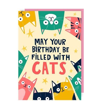 Lot de 6 cartes de voeux d'anniversaire chats