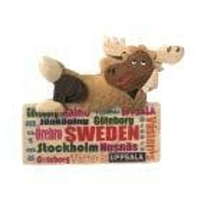 The wooden magnet with Sweden's cities
