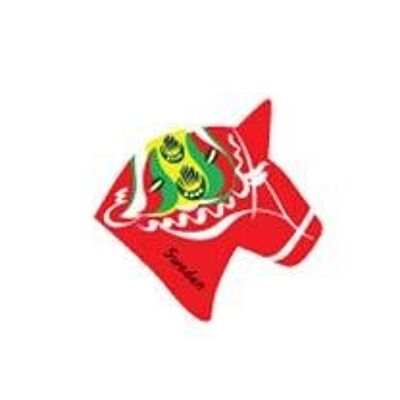 Dala horse head magnet