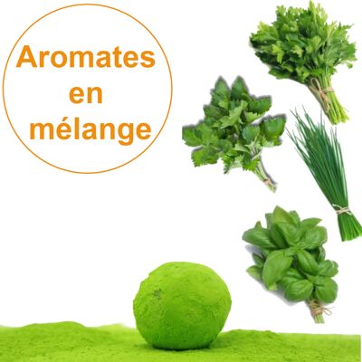 Sachet de 1 Bombe à graines / Cocon avec Graines d' Aromates en Mélange BIO