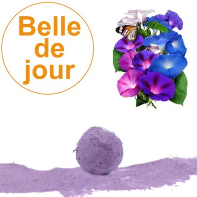 Samenbombe / Cocoon mit Samen der Belle de jour Venus einzeln verpackt