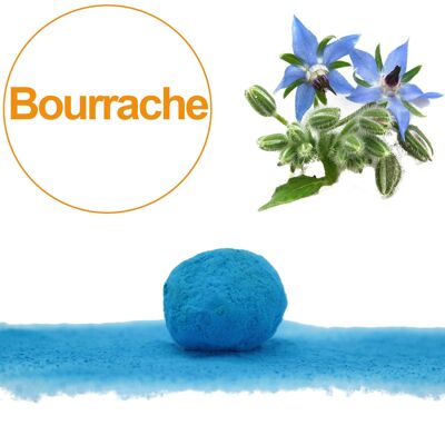 Samenbombe / Cocoon mit Bio-Blau-Borretsch-Samen einzeln verpackt