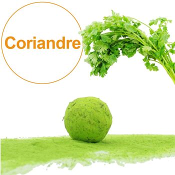 Bombe à graines / Cocon avec graines de Coriandre BIO (par sachet de 10) 1