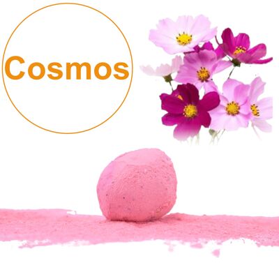 Samenbombe / Cocoon mit Cosmos-Samen in BIO-Mischung (pro 5er-Beutel)