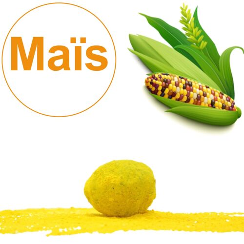 Bombe à graines / Cocon avec graines de Maïs Multicolore BIO (par sachet de 5)