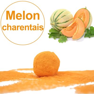 Samenbombe / Kokon mit Samen der BIO-Charentais-Melone (pro 5er-Beutel)