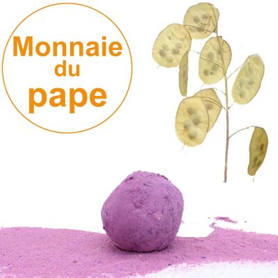 Seed bomb / Cocoon with seeds of Monnaie du Pape (Lunar) individually wrapped