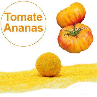 Samenbombe / Kokon mit Bio-Ananas-Tomatensamen einzeln verpackt