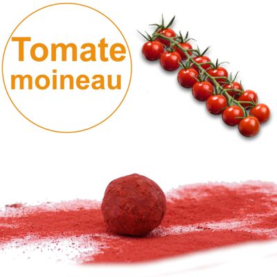 Bombe à graines / Cocon avec graines de Tomate Petit moineau BIO (par sachet de 5)