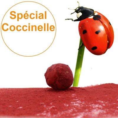 Bombe à graines / Cocon avec mélange de graines "Spécial Coccinelles " emballage individuel