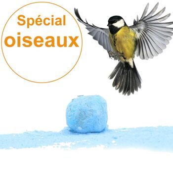 Bombe à graines / Cocon avec mélange de graines Annuelles " Spécial Oiseaux " (par sachet de 5) 1