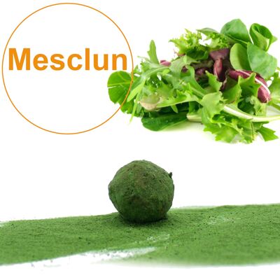 Samenbombe / Cocoon mit Mischung aus Bio-Mesclun-Samen (pro 5er-Beutel)