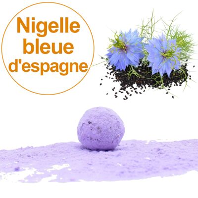 Samenbombe / Kokon mit spanischer blauer Nigella-Samenmischung einzeln verpackt
