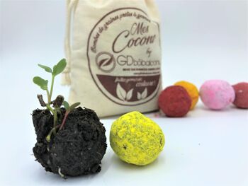 Bombe à graines / Cocon de graines  "Spécial Mélange pour Abeilles" BIO emballage individuel 3