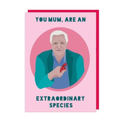 David Attenborough Mother's Day Card pack of 6