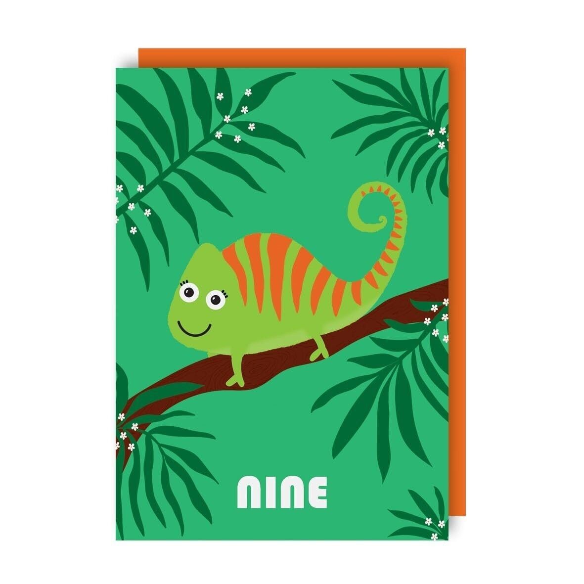 Biglietto di auguri per il 9° compleanno, confezione da 6