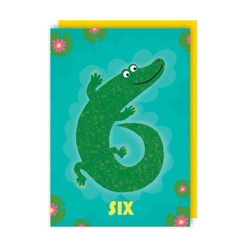 6th Birthday Greeting Card pack of 6