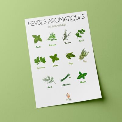 Herbes aromatiques