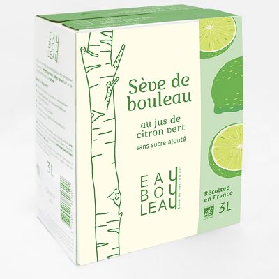 Sève de bouleau bio française au jus de citron vert
