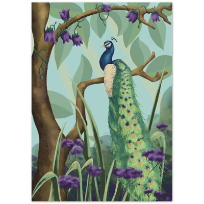 Peacock Premium Matte Paper Art Print - A3 (29.7 x 42  cm)