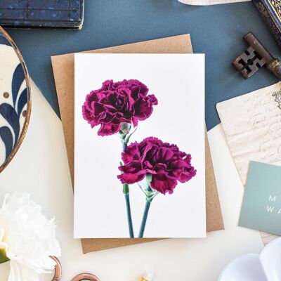 Dark Pink Carnation Greeting Card