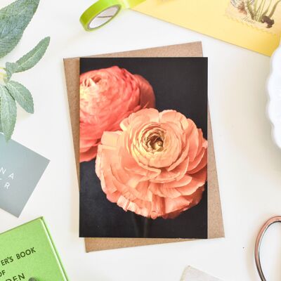 Orange Ranunculus Greeting Card