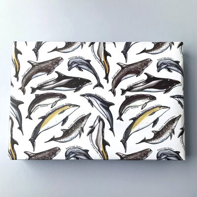Dolphins illustrated wrapping paper