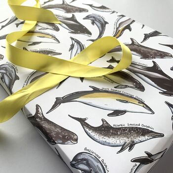 Papier cadeau illustré de dauphins 4
