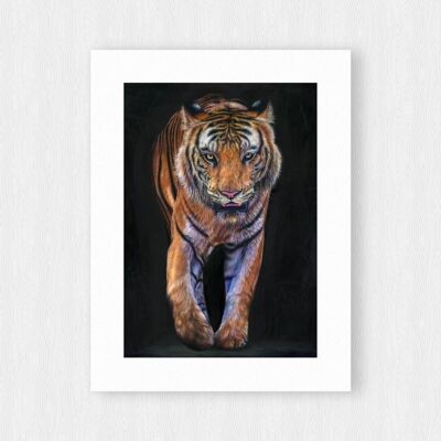 Impression giclée en édition limitée - art animalier - tigre - peinture animalière - art de gros chat - dessin au crayon de couleur - illustration - dessin de chat