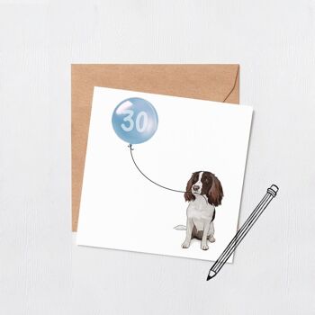 Carte ballon anniversaire chien Springer spaniel - Carte de voeux - Joyeux anniversaire - 16 - 18 - 21 - 30 - Numéro personnalisé - carte anniversaire chien - Bleu 21 3