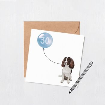 Carte ballon anniversaire chien Springer spaniel - Carte de voeux - Joyeux anniversaire - 16 - 18 - 21 - 30 - Numéro personnalisé - carte anniversaire chien - Bleu 30 3