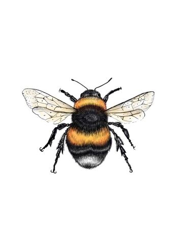Be happy Bee Print - Peinture - illustration scientifique - art animalier - abeille - imprimé animal - Citation heureuse d'abeille - citation inspirante - - A5 3