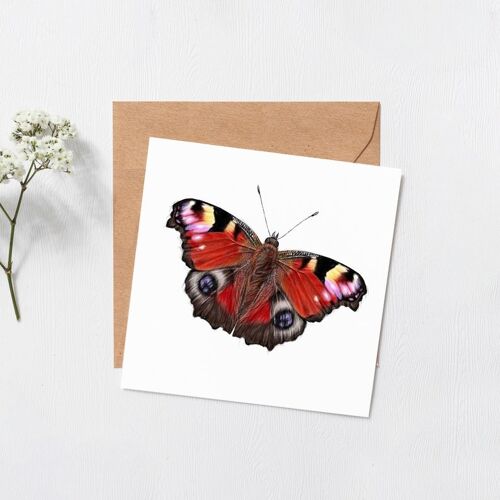 Butterfly card - science illustration - animal card - general greeting card - happy birthday - best wishes - thinking of you - blank inside (786964606)